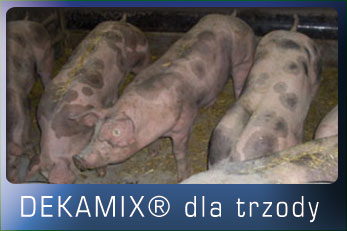 dekamix_trzoda_home