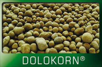 dolokorn_home